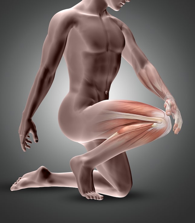 Editorial-style anatomical illustration or close-up photo showing muscle fibers, fascia, and trigger points — clean modern medical aesthetic with sage and warm cream tones highlighting how tension and adhesions form